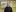 Profilbild Vincent Pelikan
